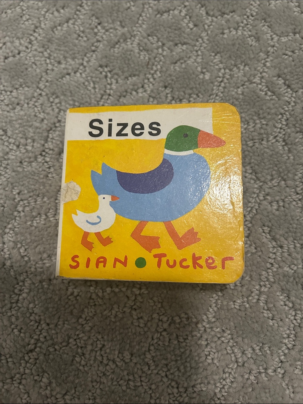 Children’s Book - 'Sizes' with Multicolor Duck Illustration